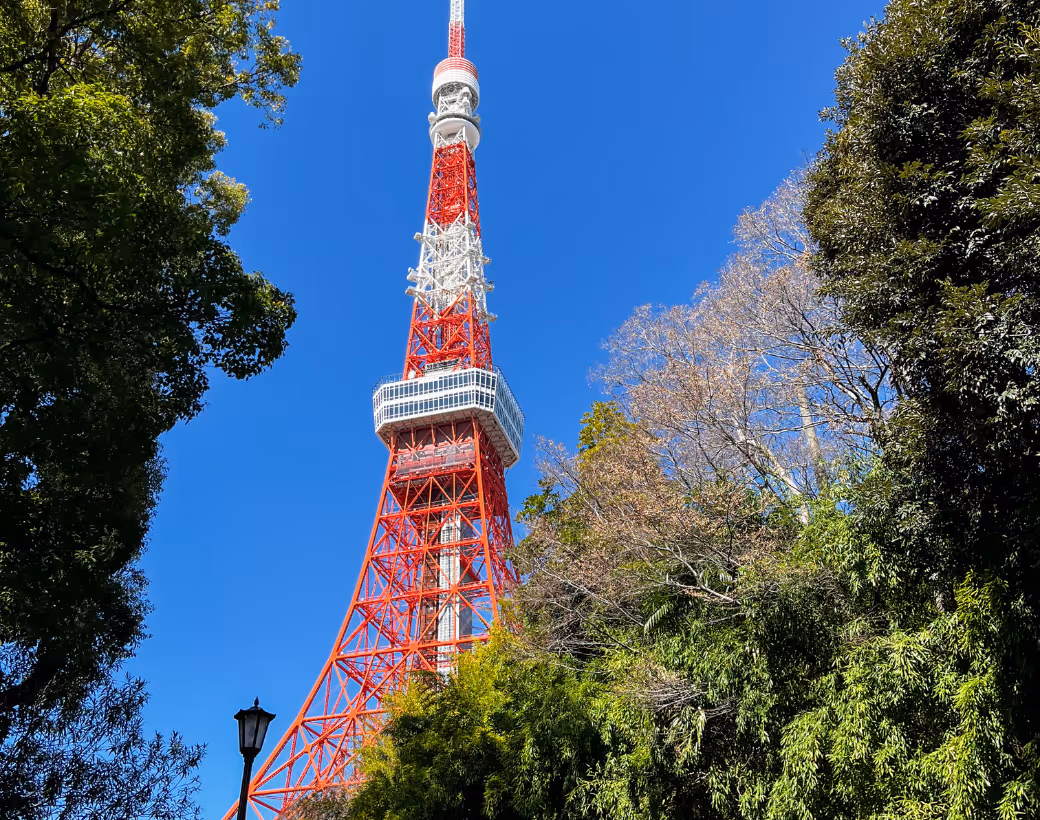 Collague of photos of Tokyo Japan including neon signs at night, the tokyo tower and a matcha